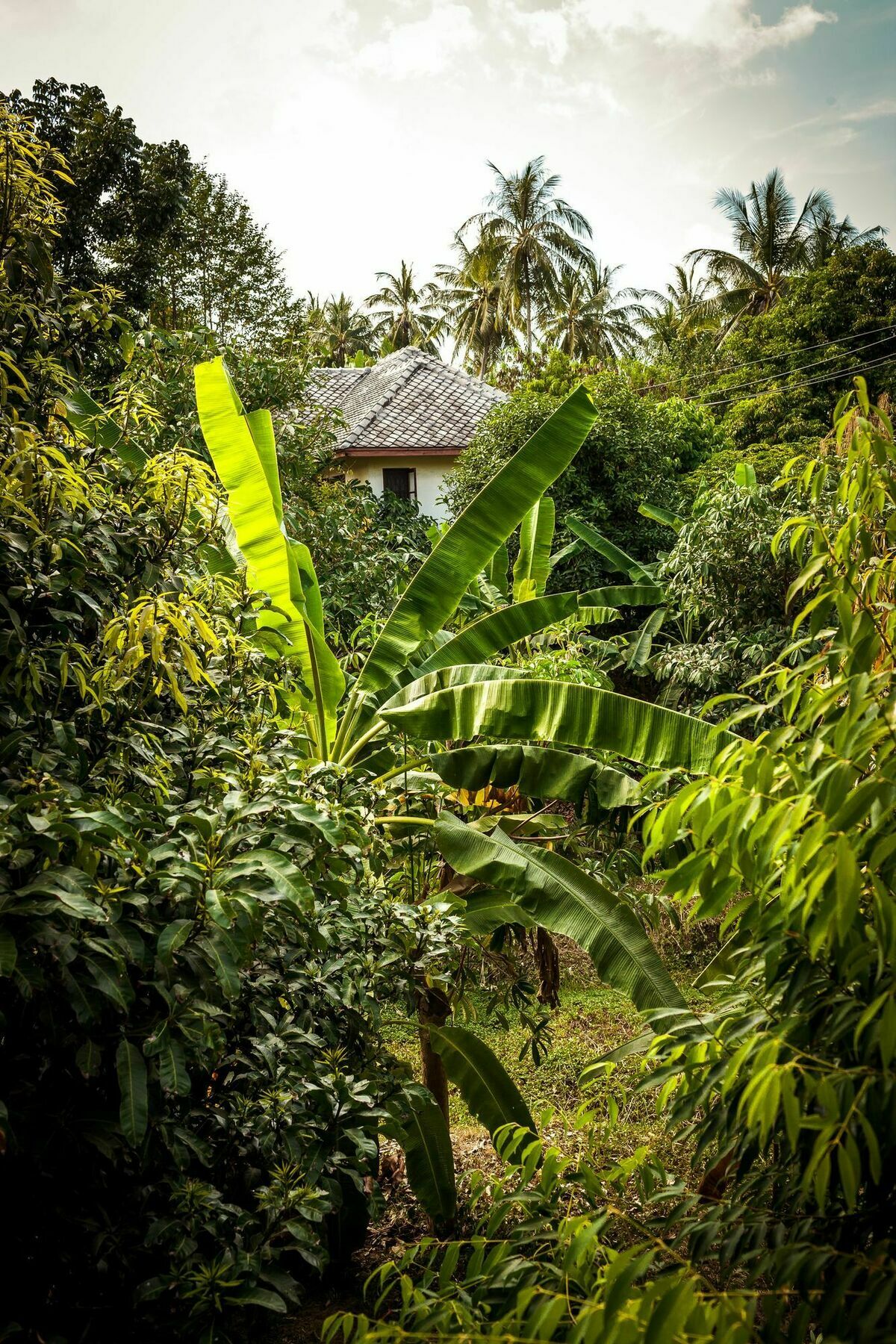 Cashew Nut Village Bophut Zewnętrze zdjęcie